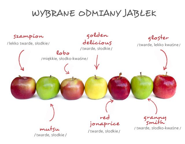 Asortyment różnych odmian jabłek i kiści czerwonych porzeczek, leżących obok siebie, ilustrujący przewodnik wyboru owoców.